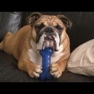 Meet your Posher, Paul